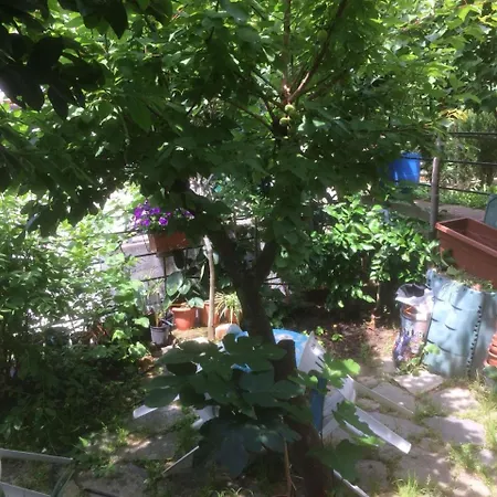 In Tracastello - Air Cond - Parking Not Included - * Riomaggiore